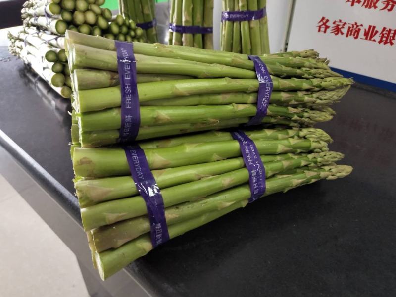 新鲜芦笋自家种基地每天现摘秋芦笋预定中，欢迎各位老
