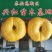 【精选】桃树苗蟠桃苗基地直发当年结果包成活