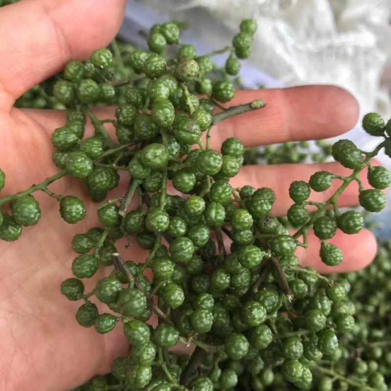 汉源花椒青花椒藤椒九叶青椒