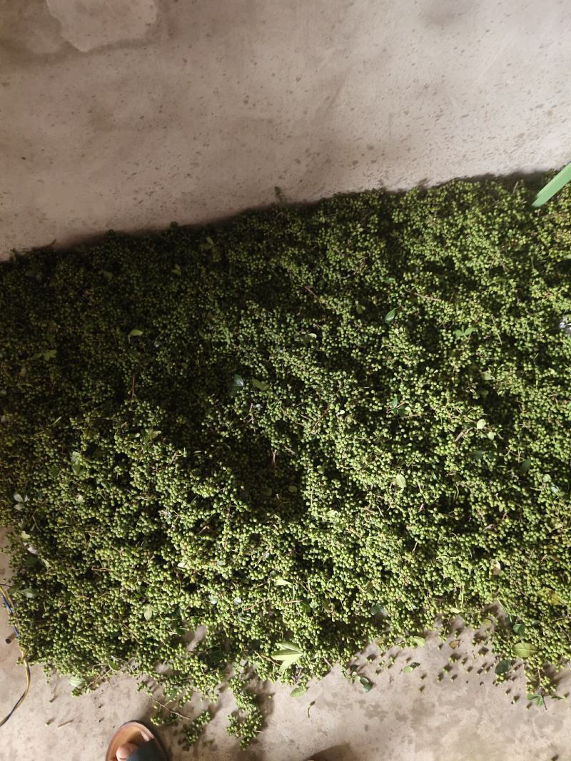 汉源花椒青花椒藤椒九叶青椒