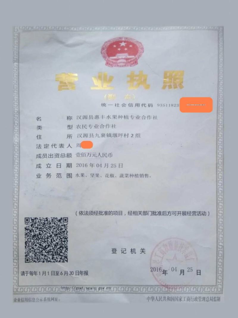 汉源花椒青花椒藤椒九叶青椒
