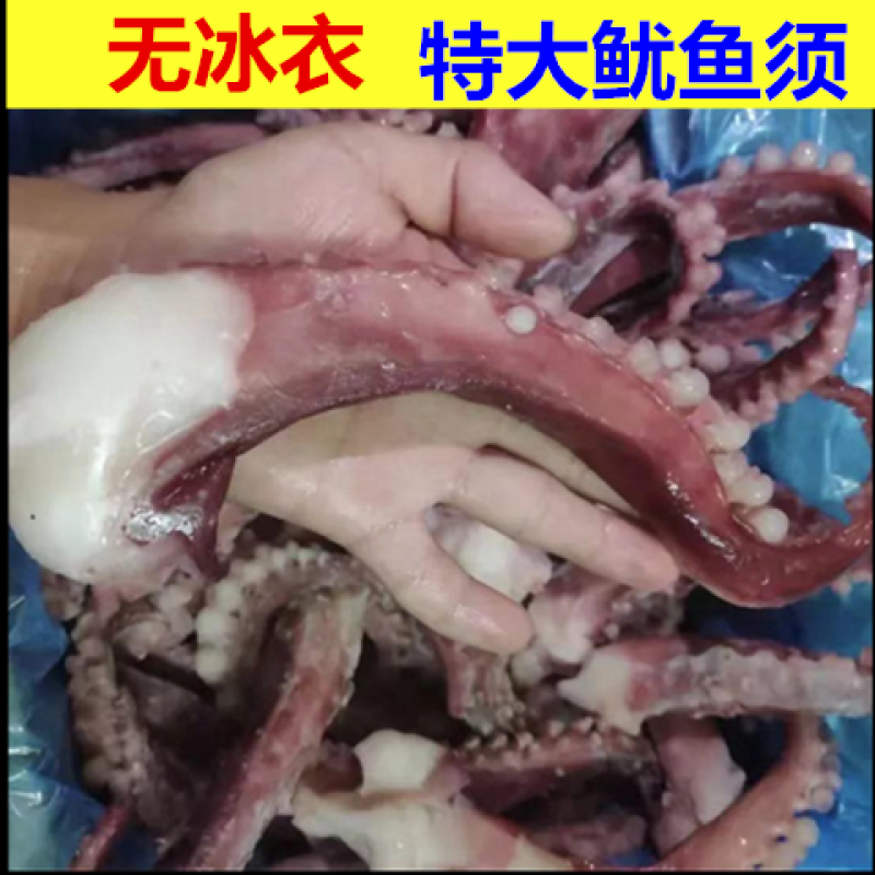 海鲜【特大号鱿鱼须】鲜活大章鱼速冻批发章鱼冷冻章鱼腿八爪