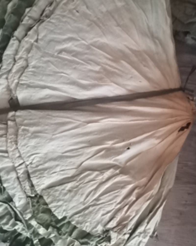 白洋淀天然红莲干荷叶