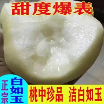 闪发;精品白如玉蜜桃黄金蟠蟠桃新鲜水果