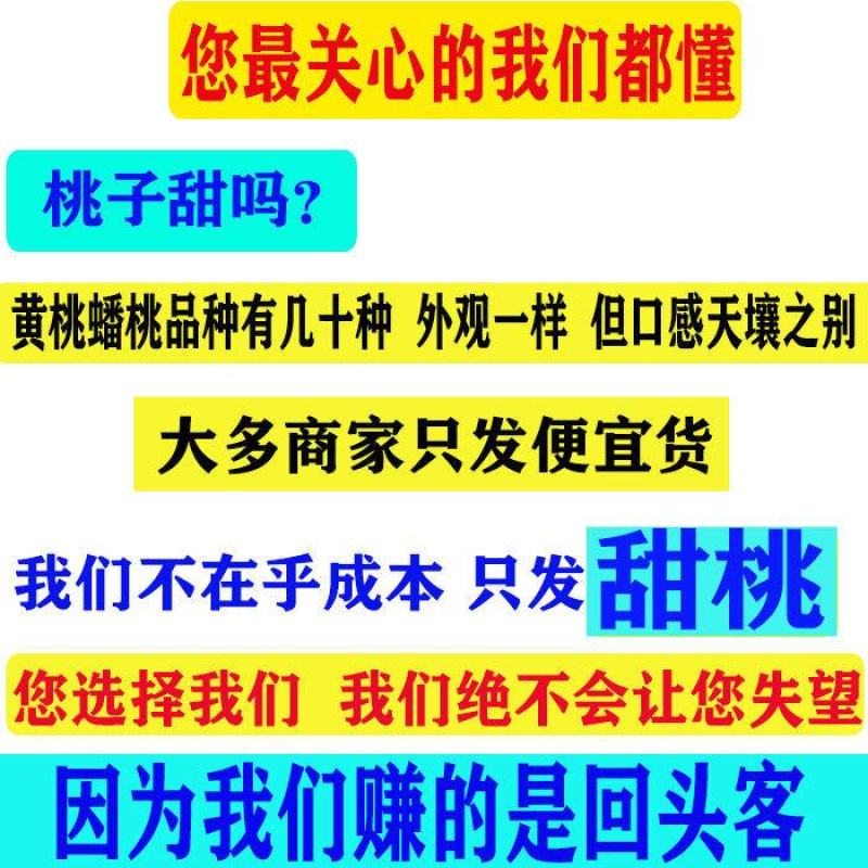 闪发;精品白如玉蜜桃黄金蟠蟠桃新鲜水果