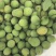 大量出售优质青梅苗，1米2以上一块钱一颗，欢迎订购