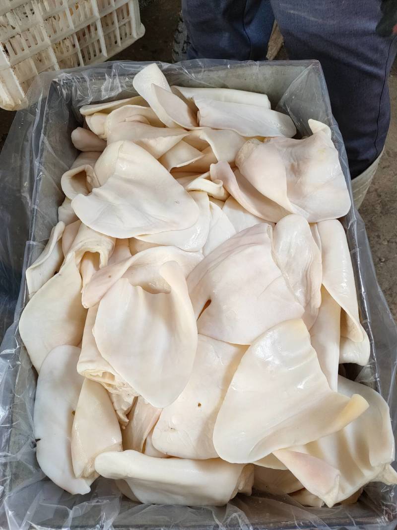 兆达畜产品公司批发鲜冻牛耳朵