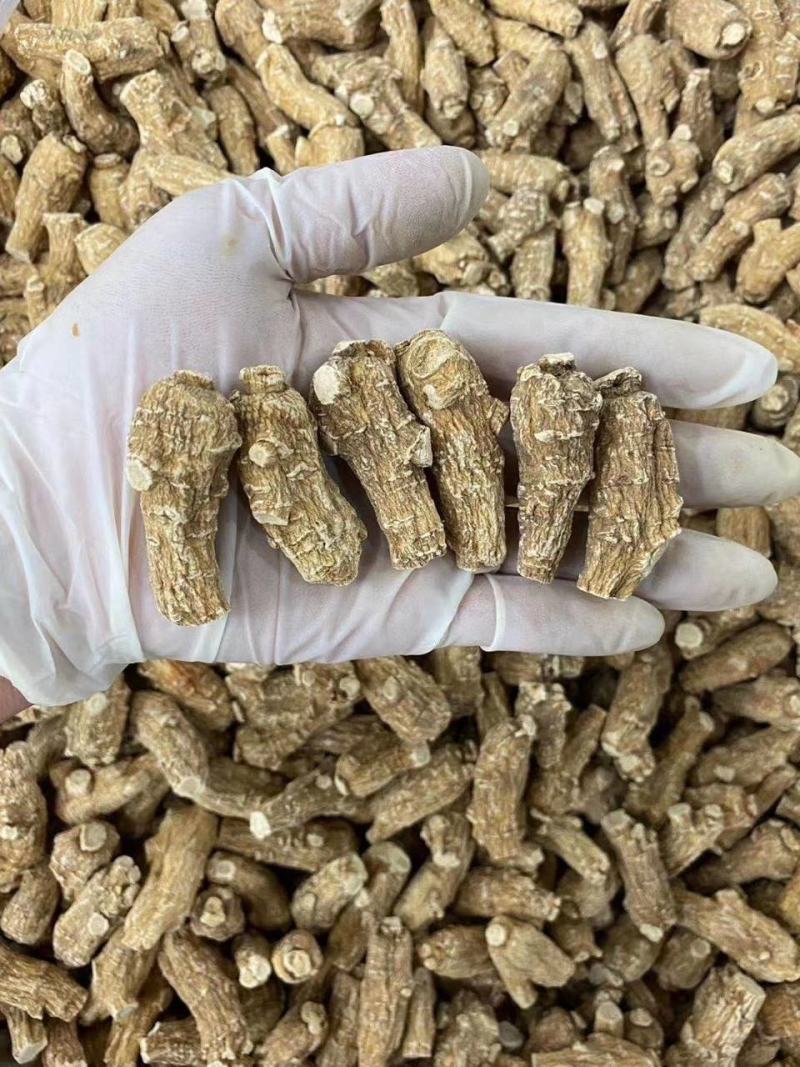 【加拿大西洋参】进口花旗参西洋参粒头切片磨粉干货无硫