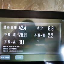 川内本地油菜籽，含油42，芥酸25