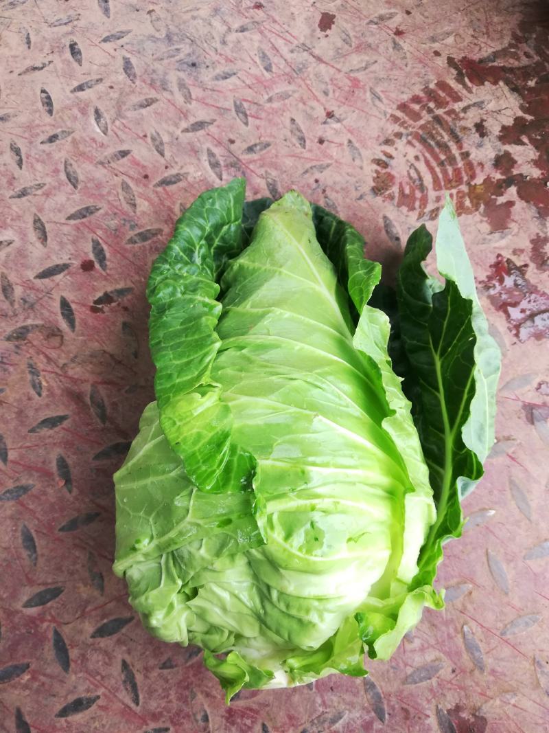 超绿，超清秀，卖样好，无黄边，口感清脆