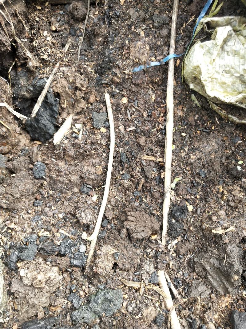 河北石家庄秸秆碳有机肥秸杆有机肥对接全国供货商