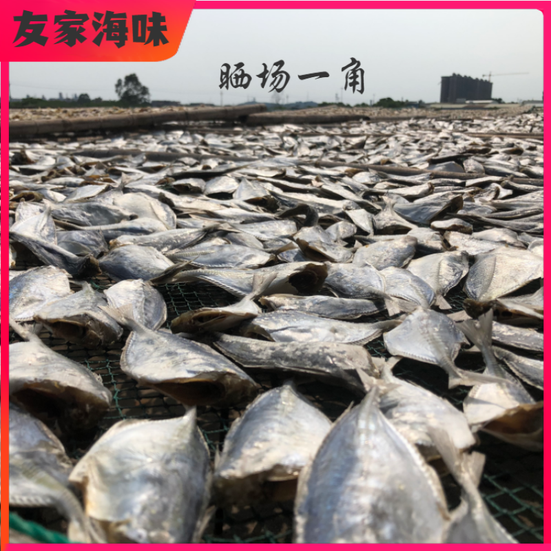 黄尾鱼干海鲜干货北海海味特产咸鱼干肉厚少刺黄尾鱼干