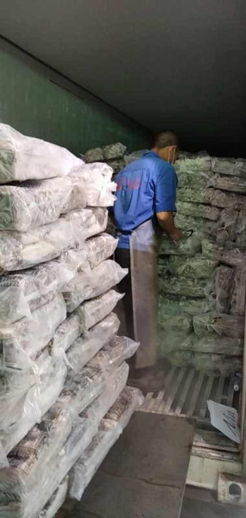 阿根廷鱿鱼，勾钓，全规格现货。