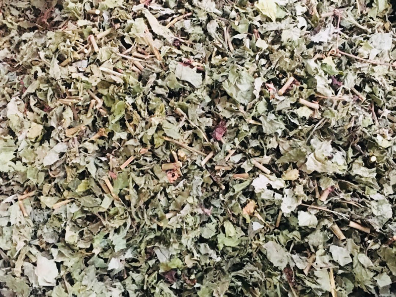 白花丹【包邮】三斤起发货可批量可零售量大从优