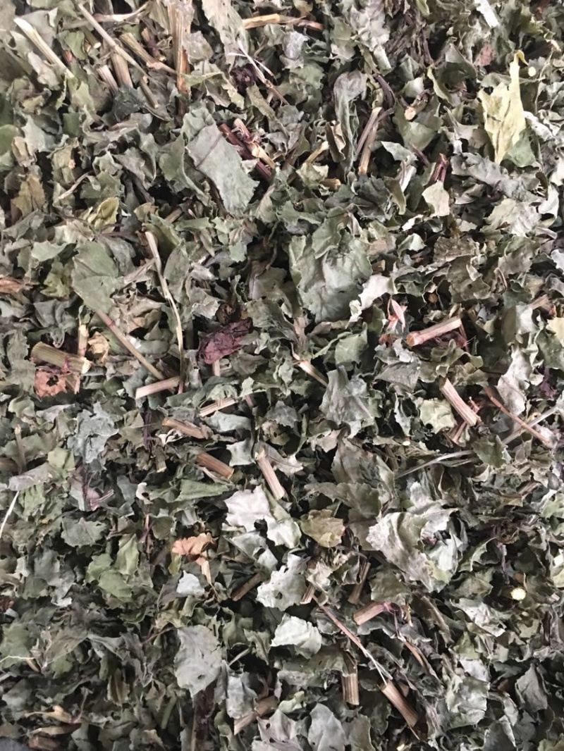 白花丹【包邮】三斤起发货可批量可零售量大从优