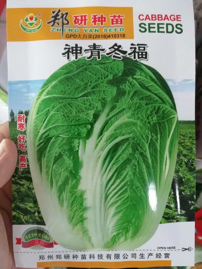 （精选）秋季高品质大白菜种子叶色浓绿个头大口感爽脆耐储运