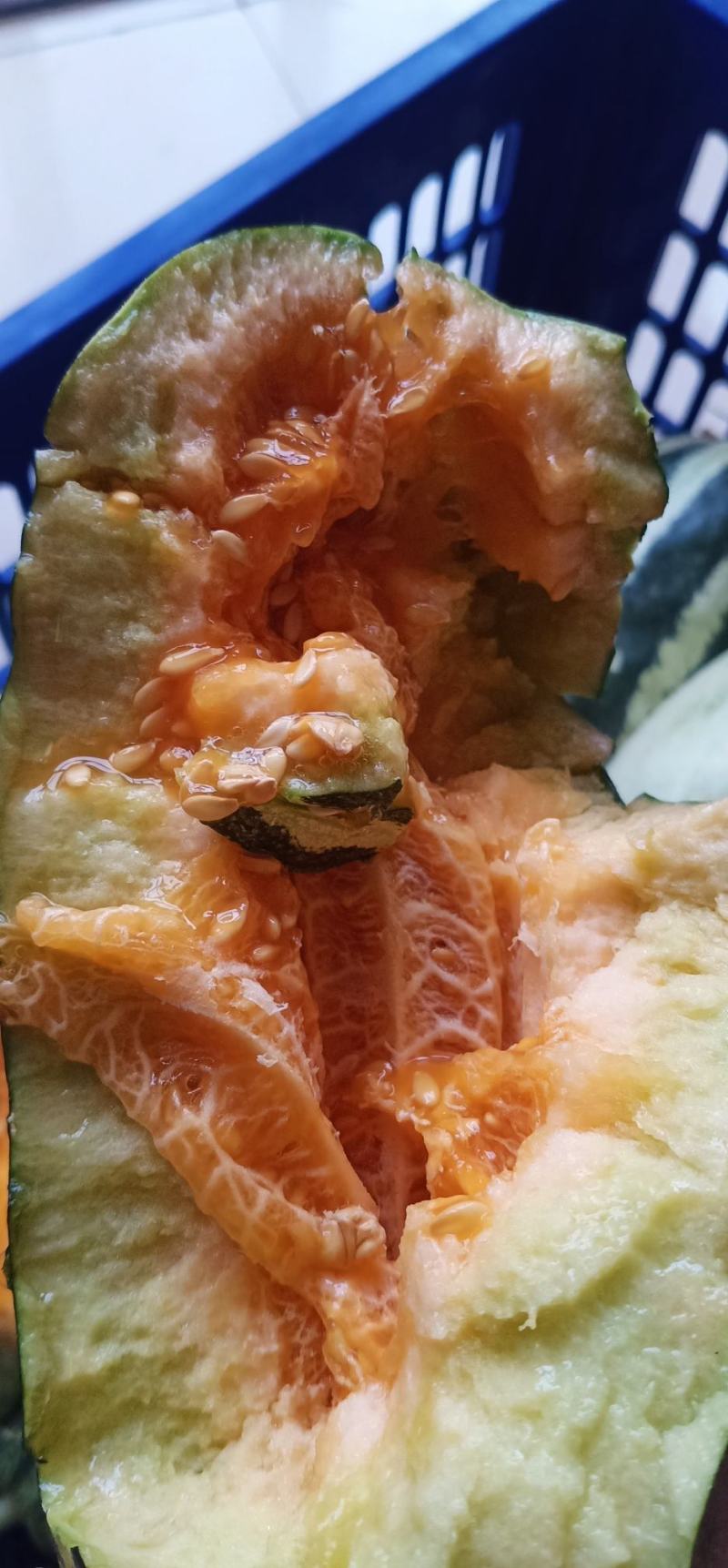 【好货推荐】甜瓜，博洋九号甜瓜，皮薄脆甜新鲜直达量大优惠