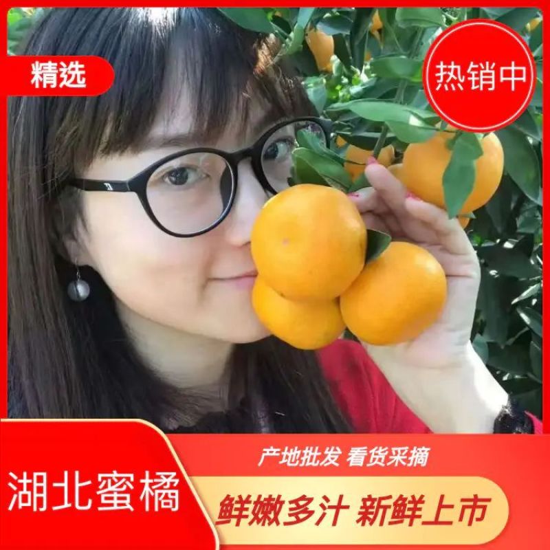 《热销中默科特三月红》大量供应又大又甜支持打款发货
