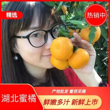 马水桔产地看货采摘，皮薄汁多，诚信经营欢迎咨询订购