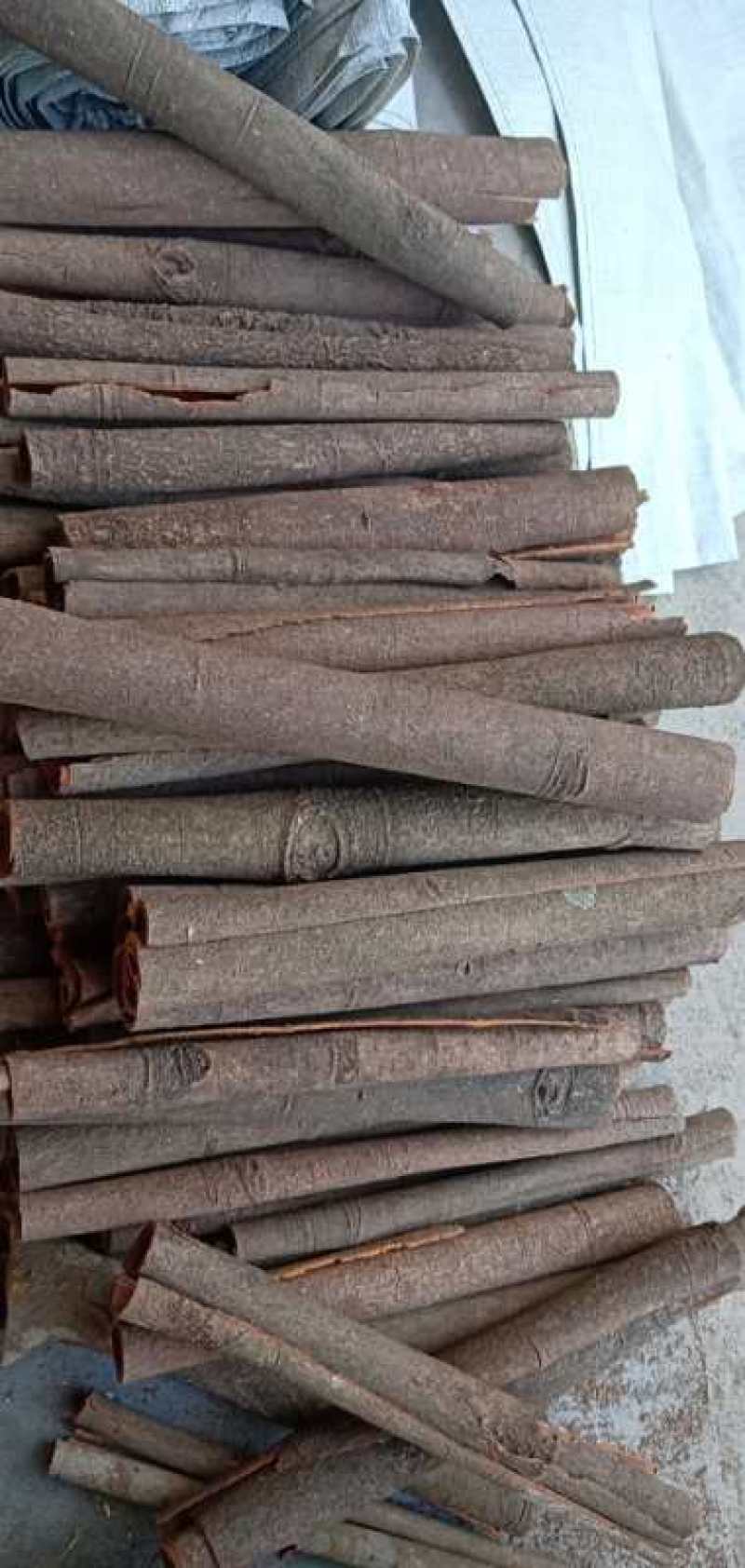 广西桂皮手选通水洗通