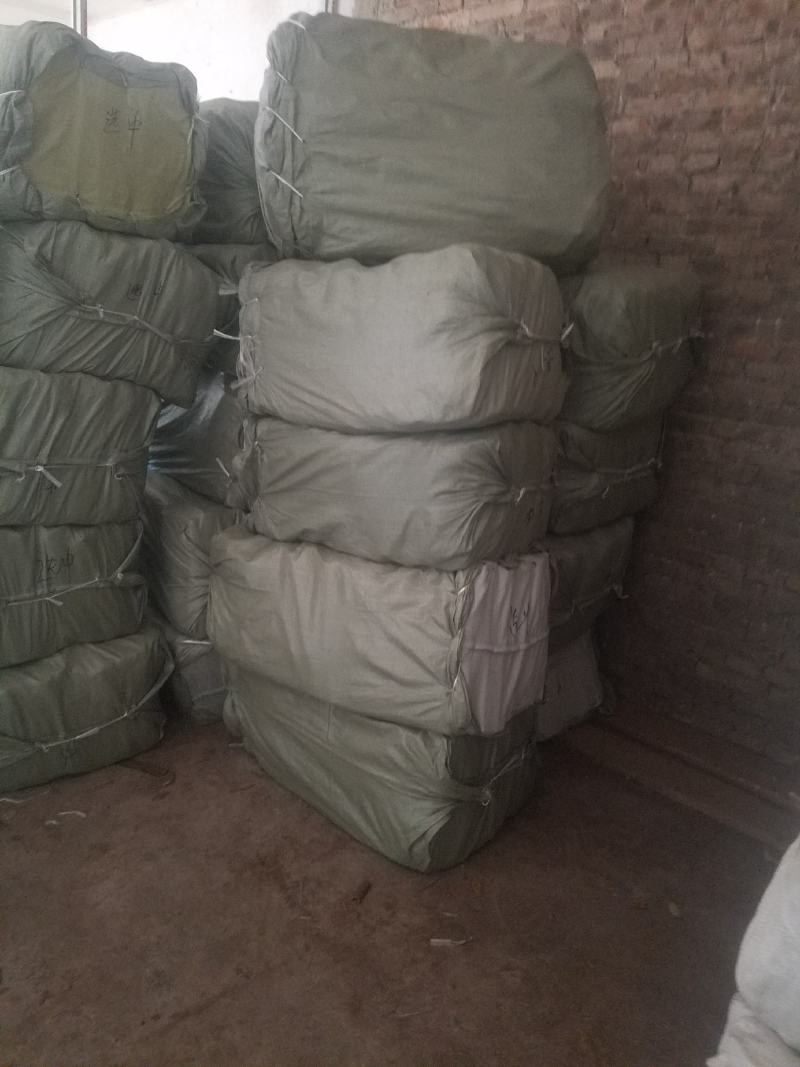 广西桂皮手选通水洗通