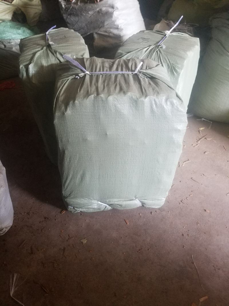 广西桂皮手选通水洗通