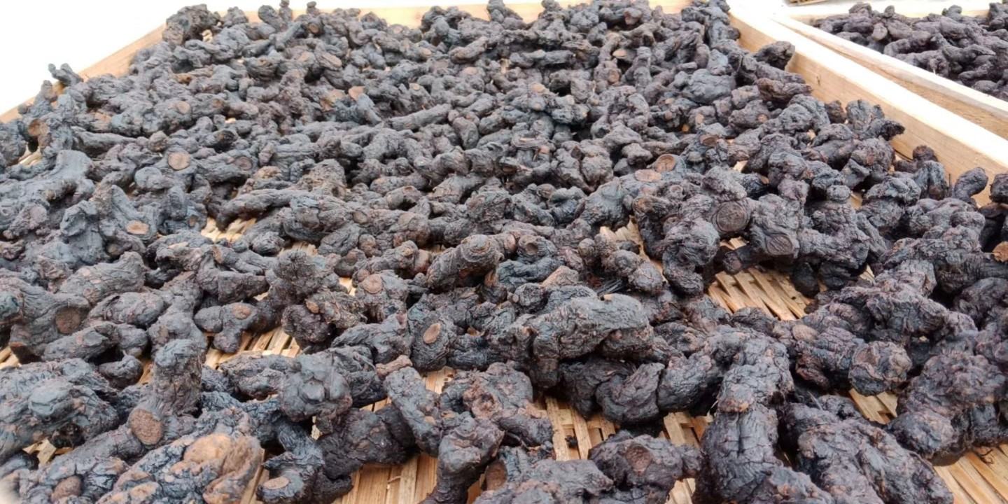 熟地黄密封保存示意图