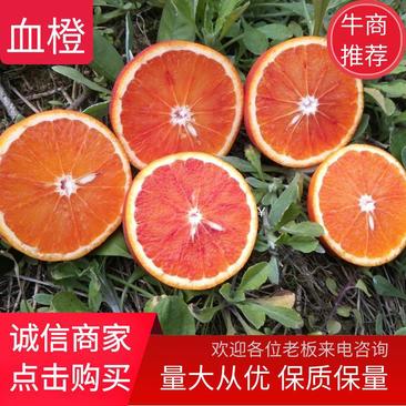 血橙橙子四川塔罗科血橙一件代发量大从优保质保量