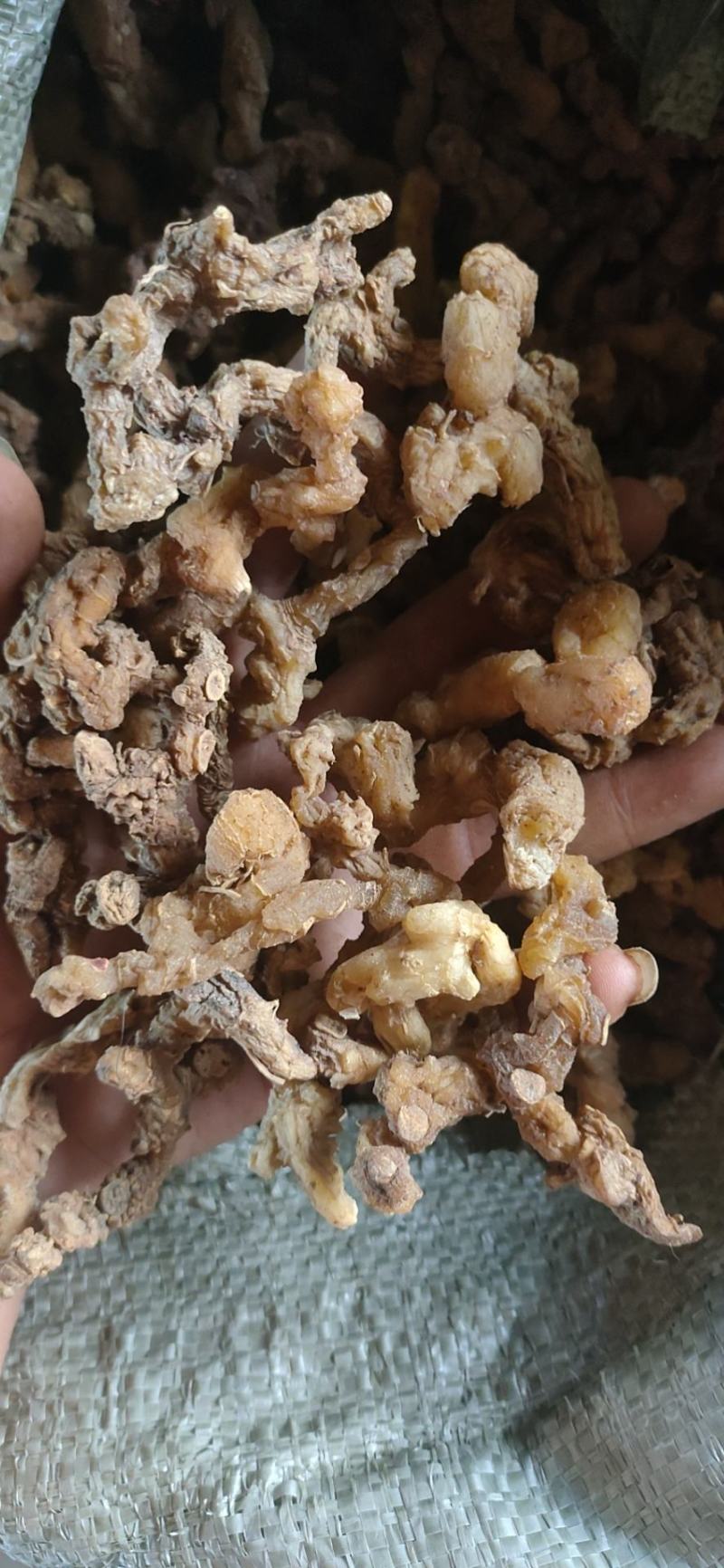 深山野生黄精个子干货