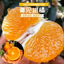 四川仁寿青见柑桔多汁味甜，产地直供，一手货源，物美价廉