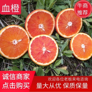 四川资中塔罗科血橙，市场货，电商货，欢迎您的来电，多知