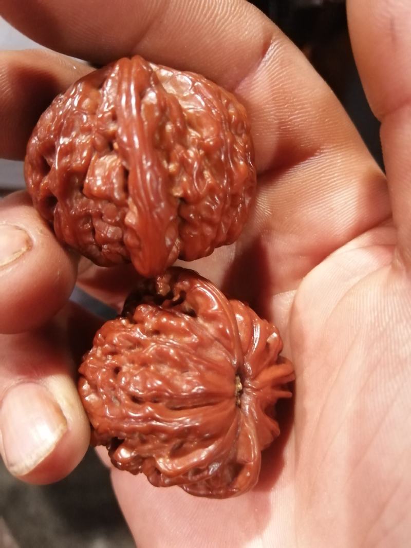 文玩麻核桃产地一手货源