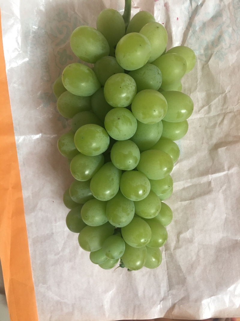 阳光玫瑰葡萄，晴王甜葡萄产地直销，精品一级果园