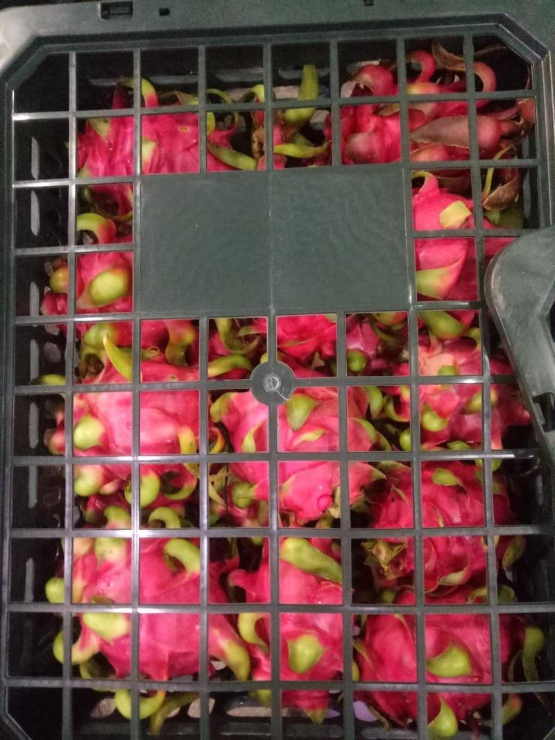 红心火龙果越南进口新鲜红心火龙果应季水果大量供应