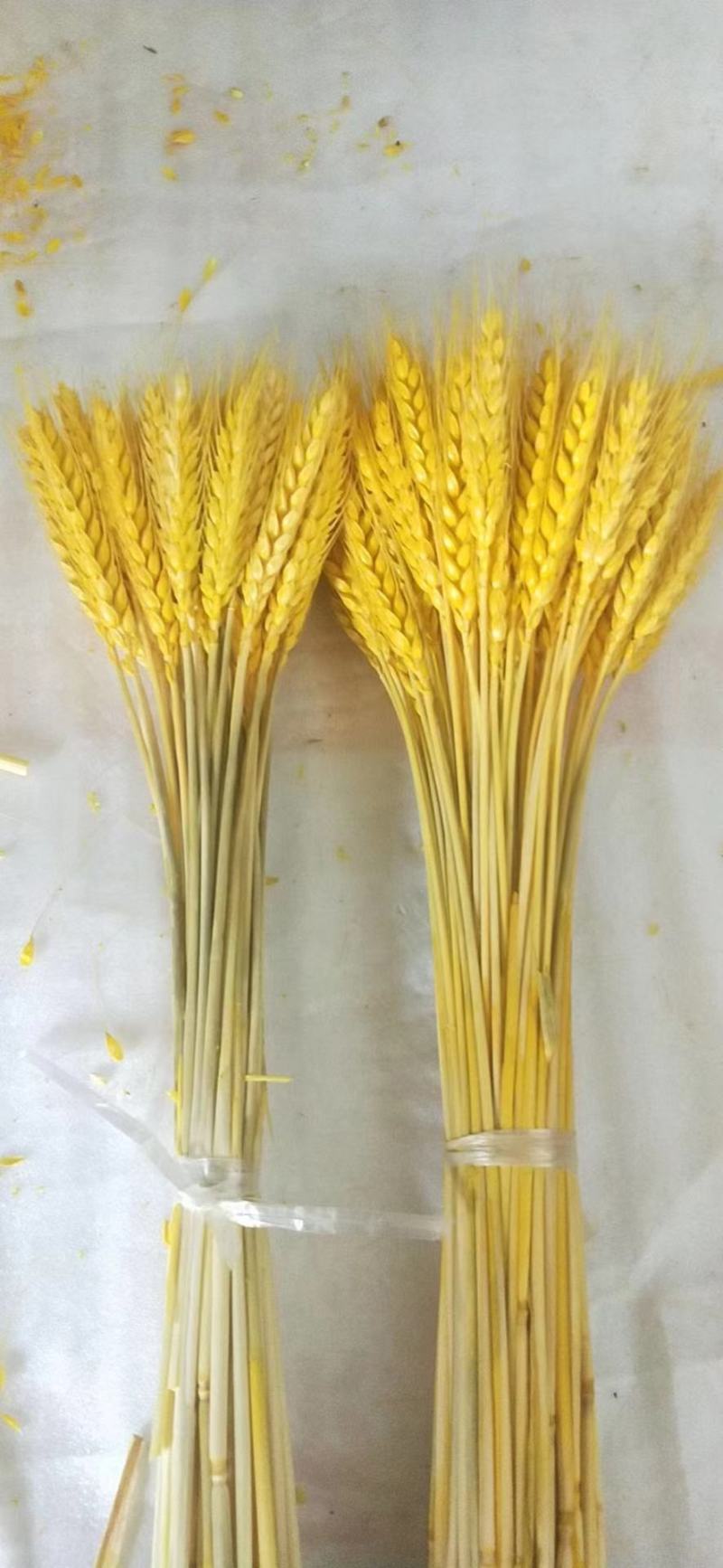 麦穗干花仿真花批发零售包邮