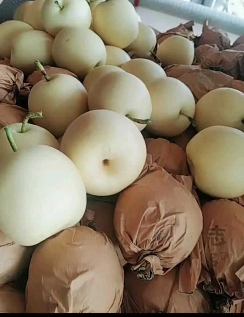 砀山梨，早熟红富士苹果，红香酥，