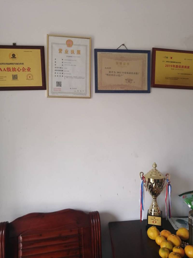 蜜橘，基地直供，无手续费，量大优，质优价廉，包质量