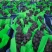 【实力】山东平邑京亚葡萄基地大量新鲜供应，口感甜价格优