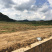 马龙区40亩家禽养殖用地出租