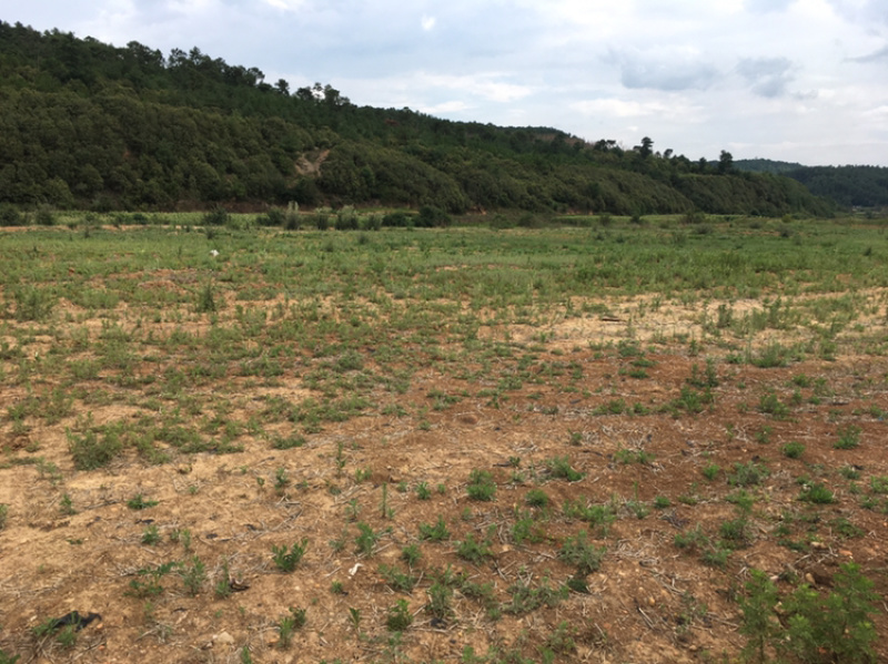 马龙区40亩家禽养殖用地出租
