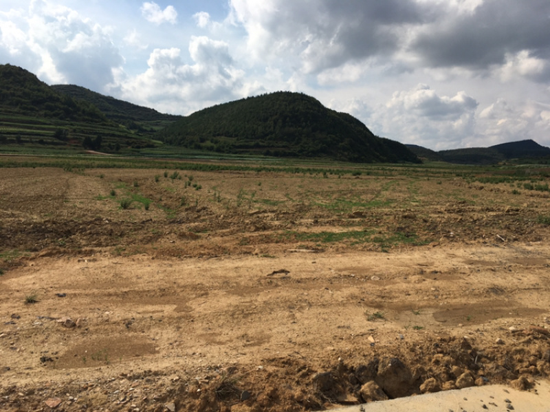 马龙区40亩家禽养殖用地出租