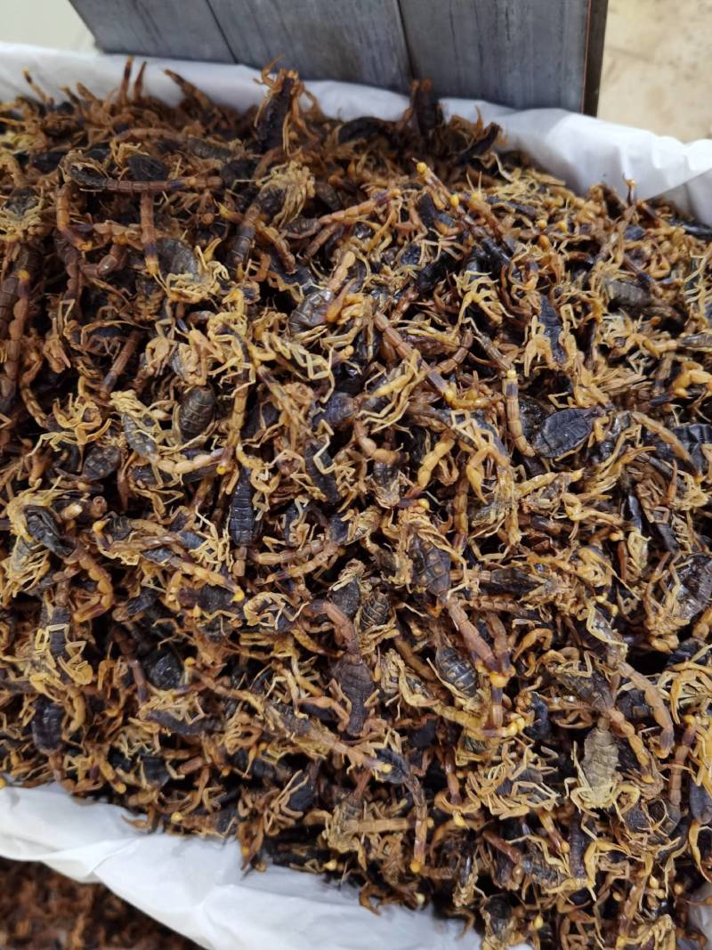 全蝎淡干各种规格蝎子清水低盐各种规格正品保证
