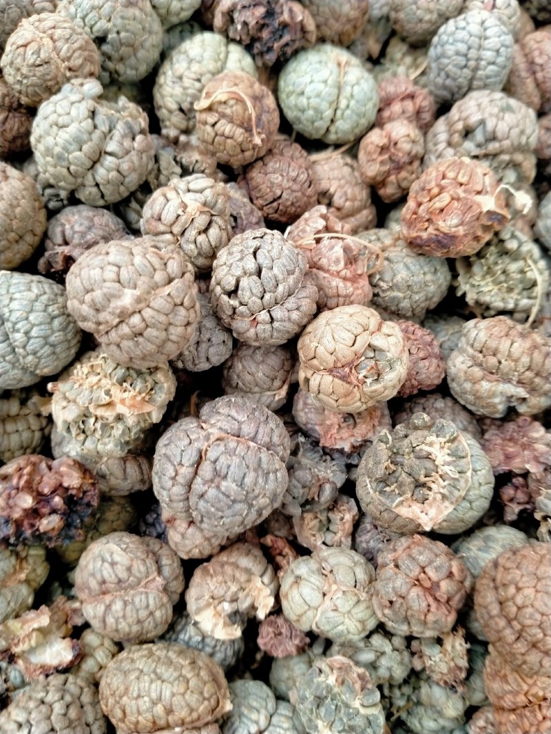 草蔻、草豆蔻规格齐全产地直销一手货源价格优！