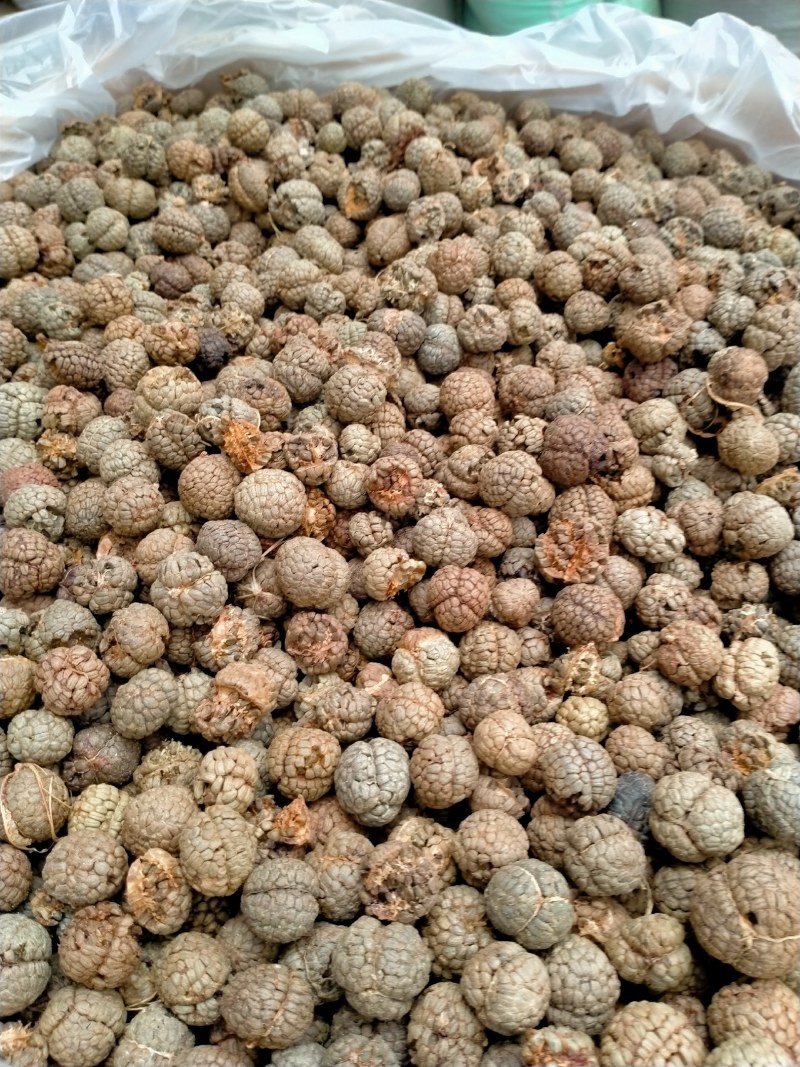 草蔻、草豆蔻规格齐全产地直销一手货源价格优！