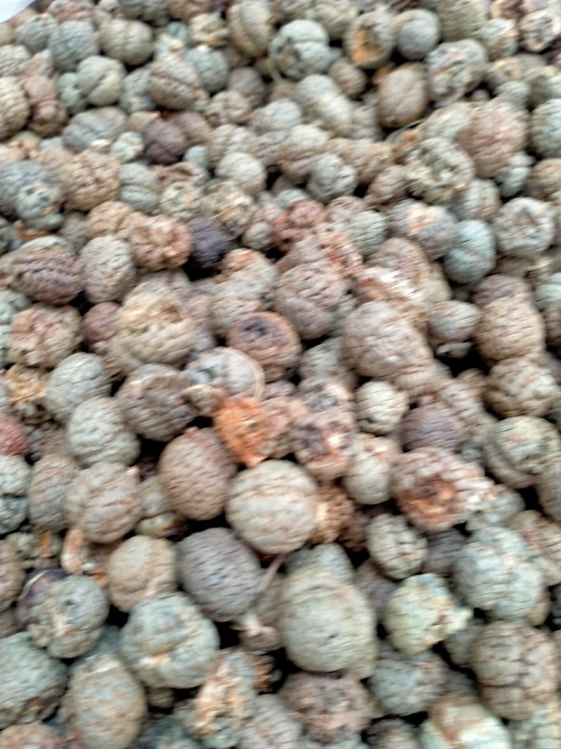草蔻、草豆蔻规格齐全产地直销一手货源价格优！