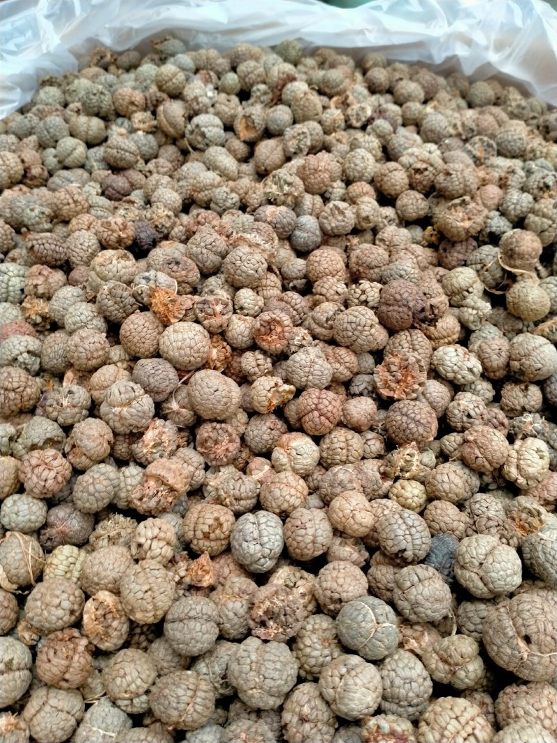 草蔻、草豆蔻规格齐全产地直销一手货源价格优！