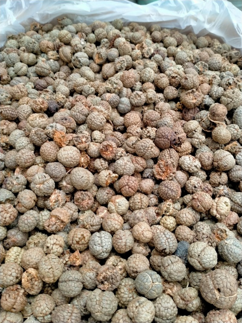 草蔻、草豆蔻规格齐全产地直销一手货源价格优！