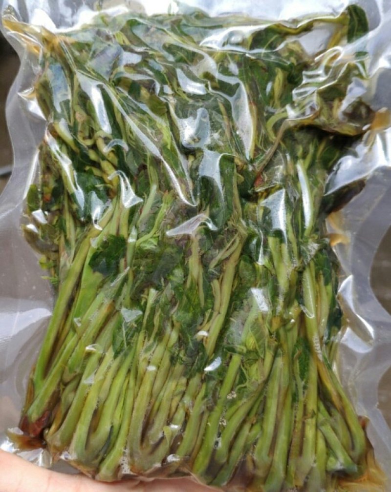 保鲜香椿芽，纯野生，露头栽种