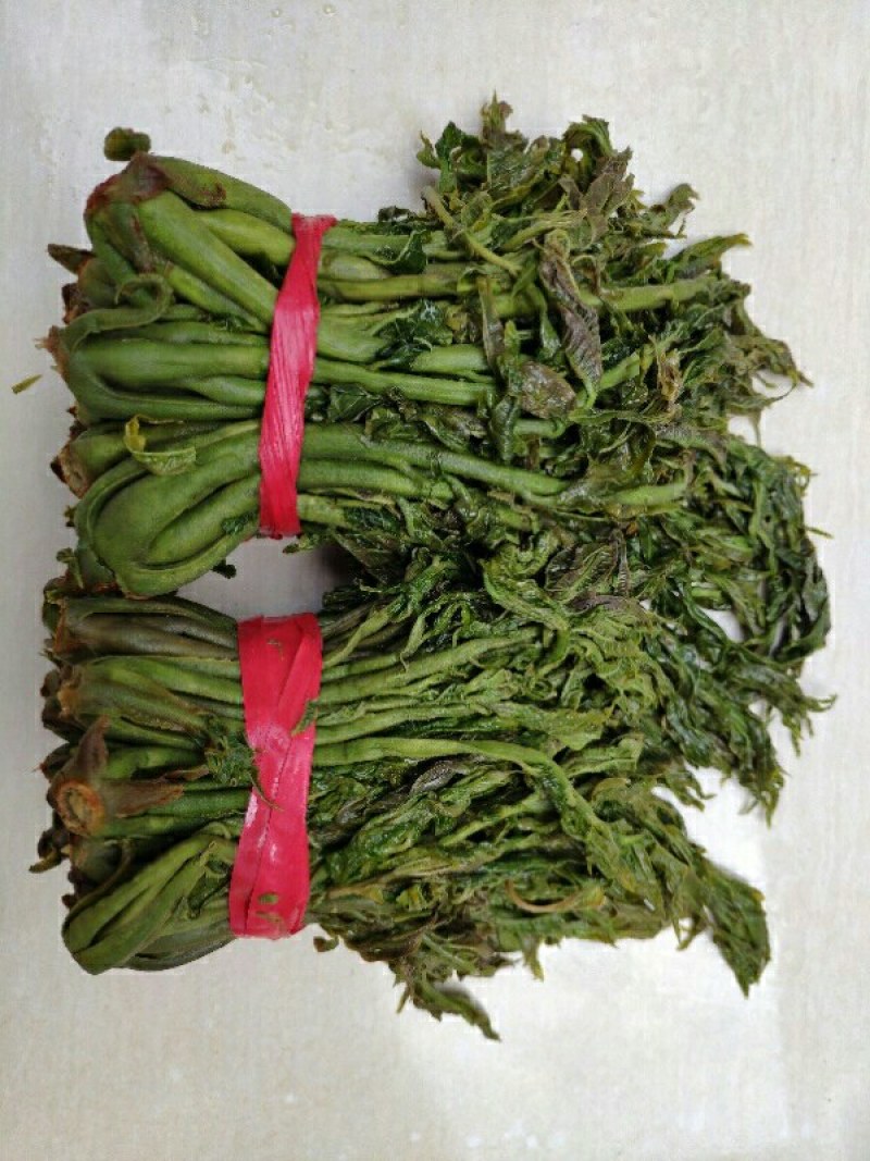 保鲜香椿芽，纯野生，露头栽种