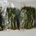 保鲜香椿芽，纯野生，露头栽种